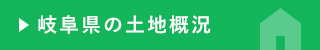 岐阜県の土地概況